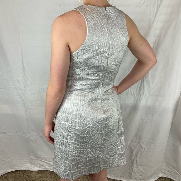 Rebecca Taylor silver dress. Brand New with tags! - Picture 7 of 9